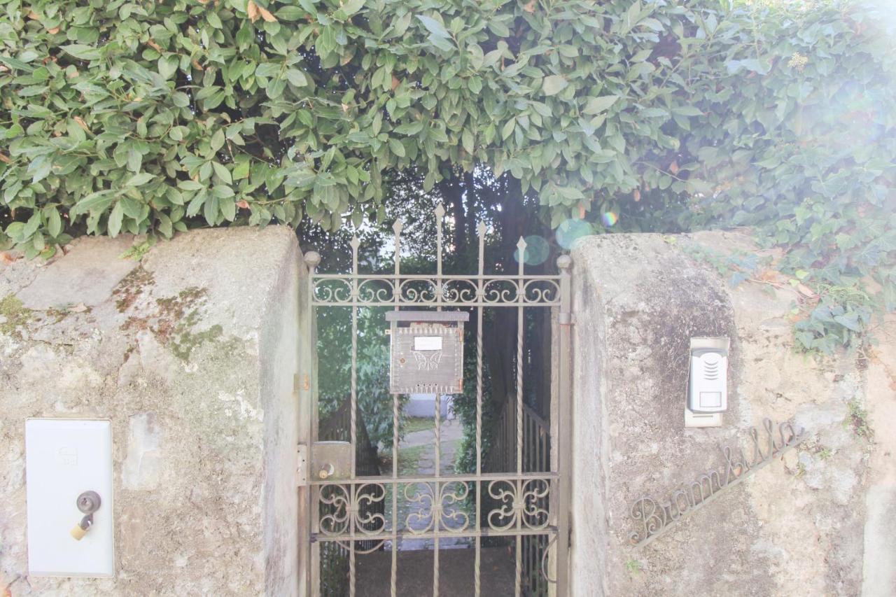Villa Elena Mezzegra Bagian luar foto